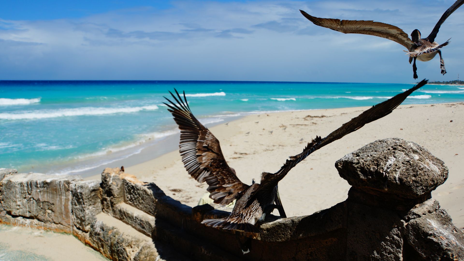 #cuba - Фото №14